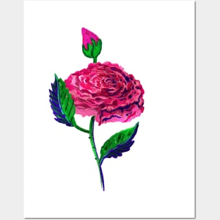 Rose oil Posters and Art